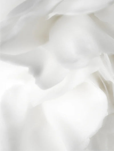 Bioaktives Präbiotika-Gelee-Serum